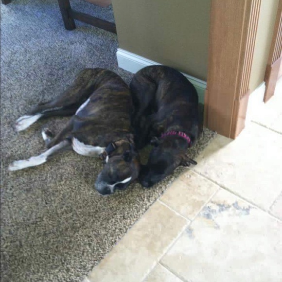 Meet your Posher, Alexandra - Picture 4 of 4